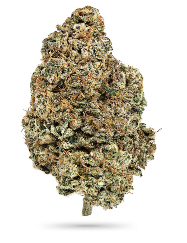 Exclusive LA Kush Burger Premium Indoor Craft Cannabis