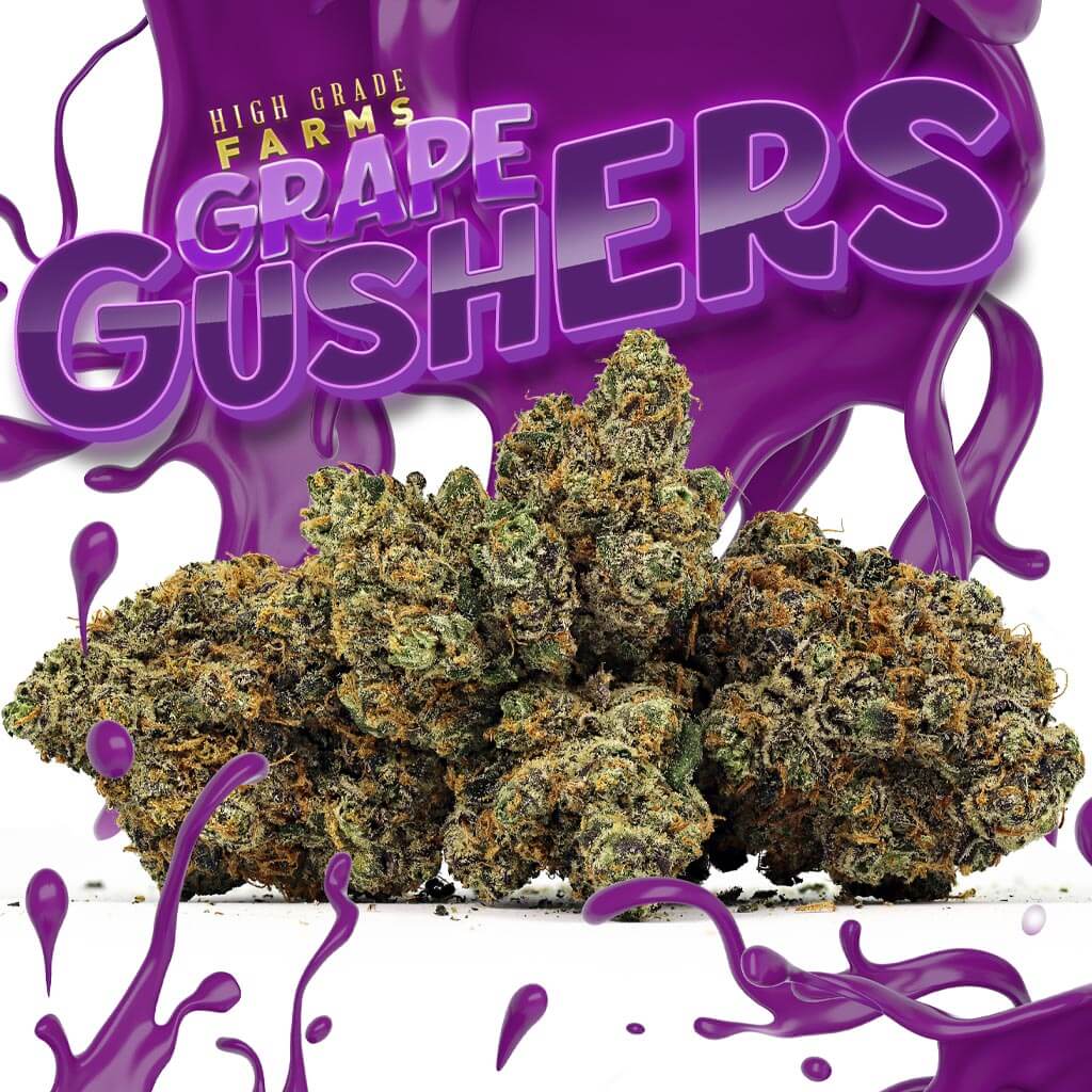 Bomb High Grade Farms Grape Gushers Premium Indoor Craft Cannabis