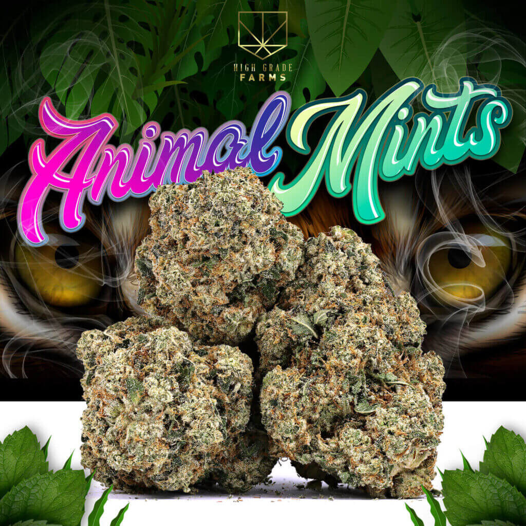 High Grade Farms Animal Mints