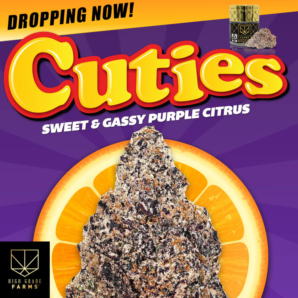 Dropping Now! Cuties — Sweet & Gassy Purple Citrus